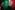 The Little Bang